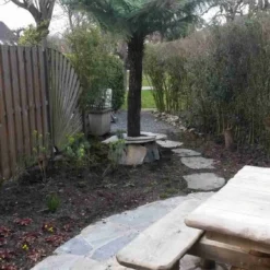 Boomvaren (Dicksonia Antarctica) 22 Boomvaren (Dicksonia Antarctica) -Aanbiedingen Bloem Land Winkel dicksonia antartica