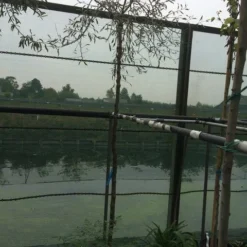 Treursierpeer (Pyrus Salicifolia 'Pendula') -Aanbiedingen Bloem Land Winkel pyrus sal pendula 2